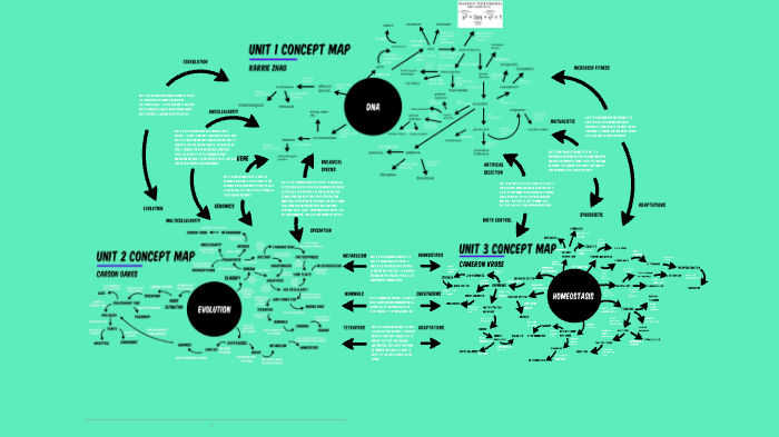 Unit 3 Concept Map by Cameron Kruse on Prezi