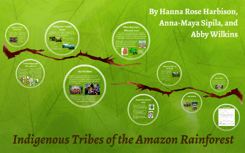 Indigenous Tribe's of the Amazon Rainforest by Hanna Rose Harbison ...