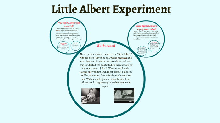 little-albert-experiment-by-diana-mendez