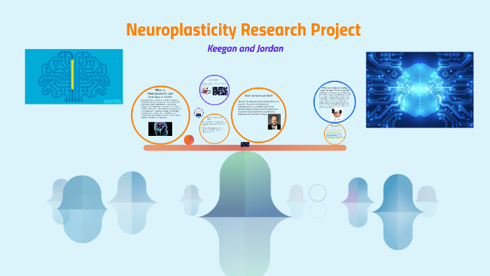 research articles on neuroplasticity