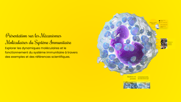 Présentation sur les Mécanismes Moléculaires du Système Immunitaire by ...
