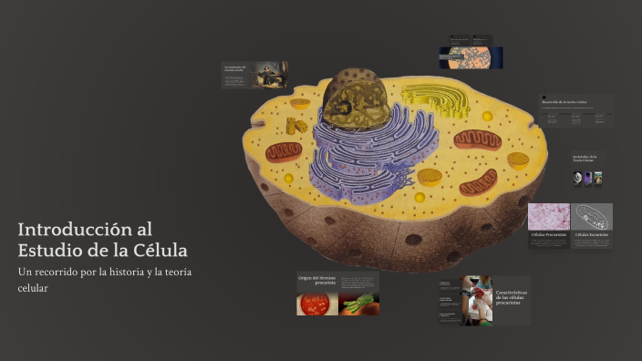 Introducción al Estudio de la Célula by Mirna Lopez on Prezi