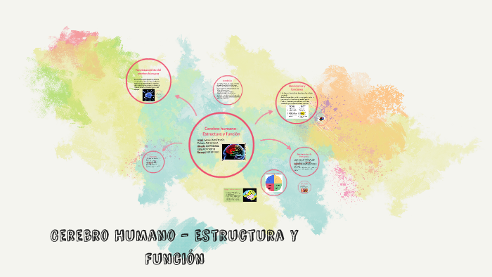 Cerebro humano-Estructura y función by Geo Papaqui on Prezi