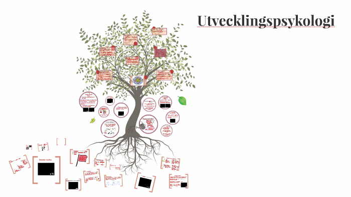 Utvecklingspsykologi by Lina Moller on Prezi