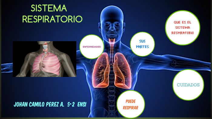 SISTEMA RESPIRATORIO by DERLY YADIRA ASCENCIO CLAVIJO on Prezi