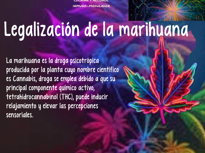 LEGALIZACIÓN DE LA MARIHUANA by Neftali Garcia on Prezi