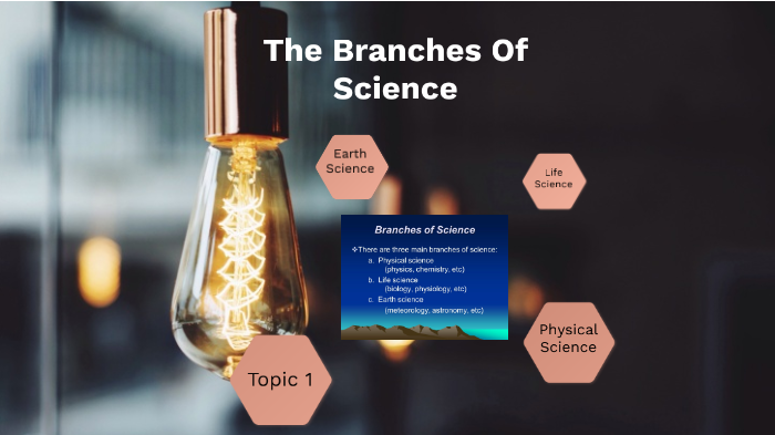 Branches Of Science by Jayline Brito on Prezi