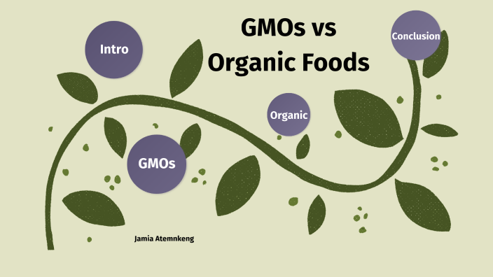 GMOs Vs. Organic By Jamia Atemnkeng On Prezi