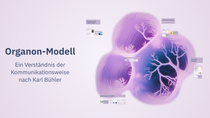 ORGANON MODELL EINFACH ERKL RT EIN UMFASSENDER LEITFADEN ZUR visual data 3