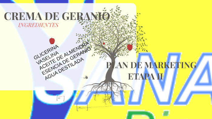 PLAN DE MARKETING by diana carolina quispe palma on Prezi