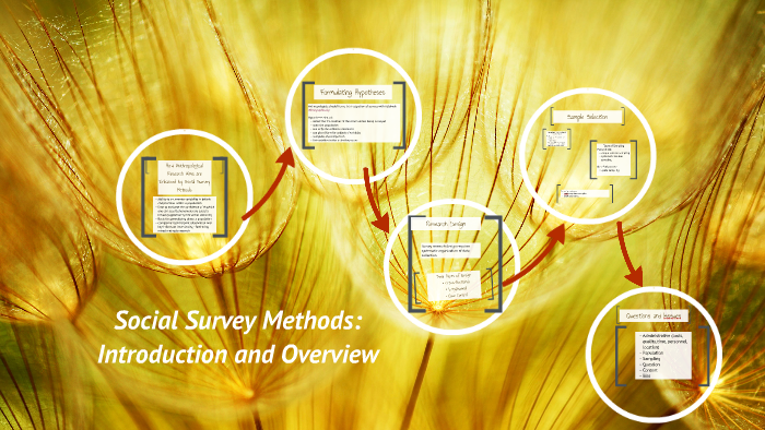 Social Survey Research by Mohammed Anas Irfan on Prezi