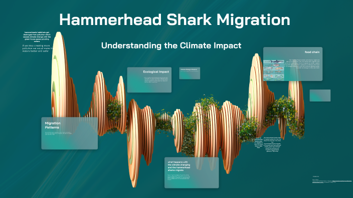 Hammerhead Shark Migration by Zachary Miller - WLM Student on Prezi
