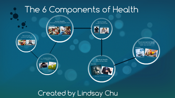 The 6 Components Of Health By Lindsay Chu On Prezi