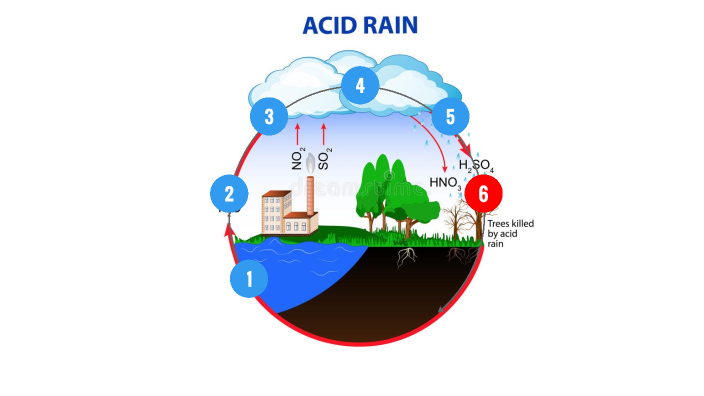 Acid rain by лера on Prezi