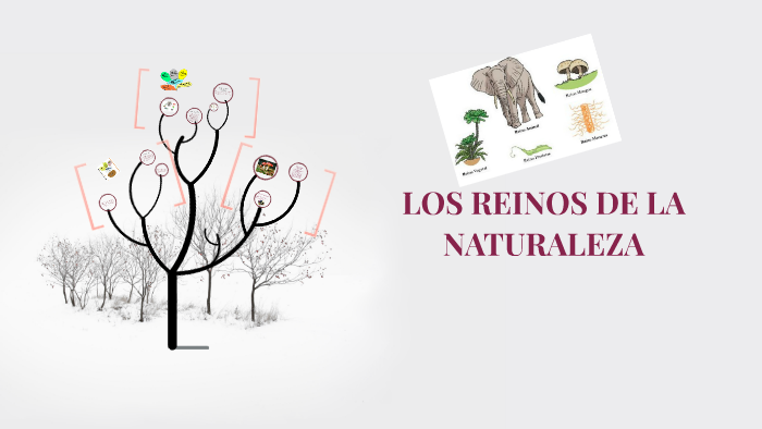 LOS REINOS DE LA NATURALEZA by ingrid alejandra orjuela peña on Prezi