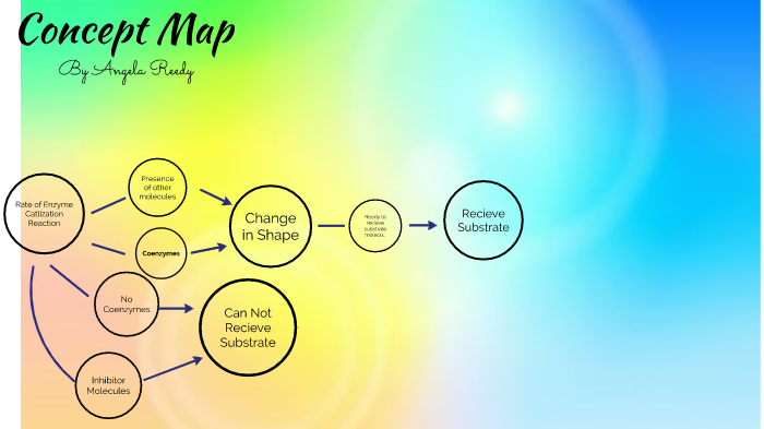 Concept Map Angela Reedy