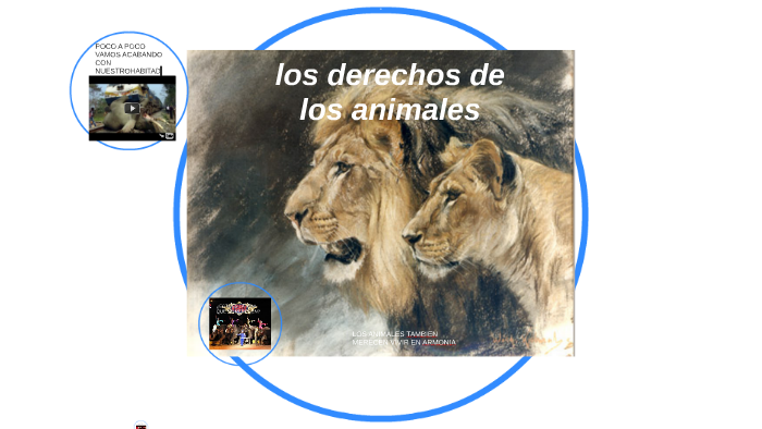 los derechos de los animales by william barrero on Prezi