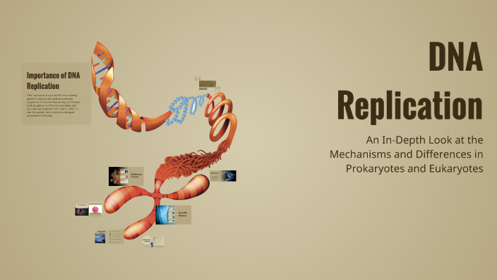 DNA Replication by shahi ahmed on Prezi