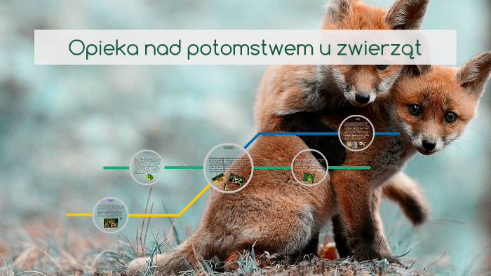 Planowa Opieka Nad Wzrostem I Rozwojem Zwierzat