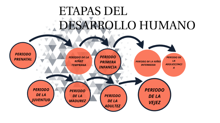 Etapas del Desarrolo by Criztofher Vasquez on Prezi