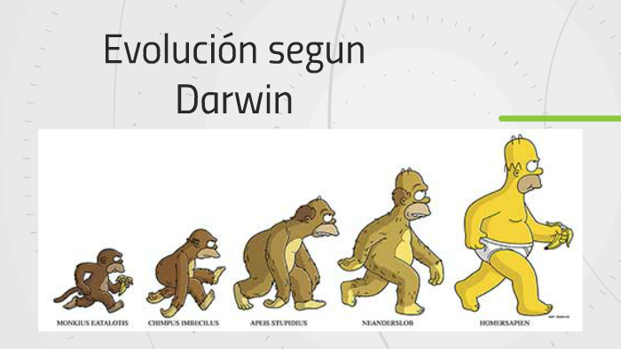 Evolucion segun Darwin by Tatika Rojas on Prezi