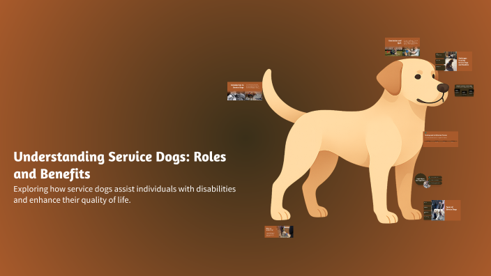 Understanding Service Dogs: Roles and Benefits by bella pelosi on Prezi