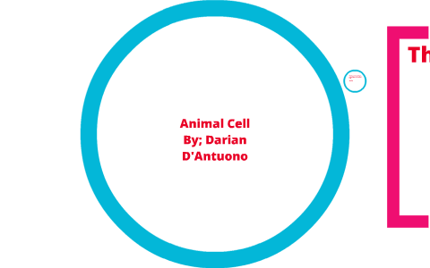 Animal Cell Presentation by Darian Rachel on Prezi
