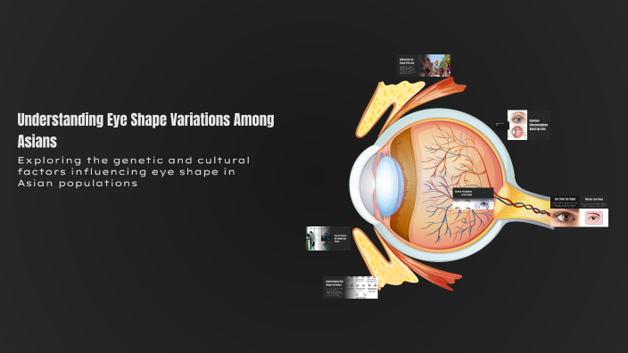 Understanding Eye Shape Variations Among Asians by Kai-Hei Ho on Prezi