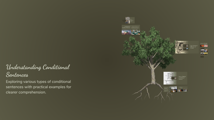 Understanding Conditional Sentences by Muneeb on Prezi