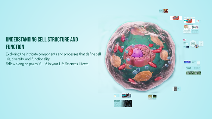Understanding Cell Structure and Function by Mu Ch on Prezi