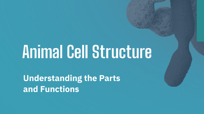 Animal Cell Structure by Junejoy Espinosa on Prezi