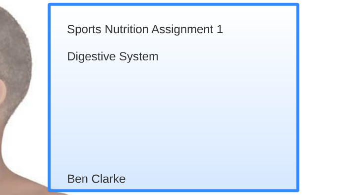 sports nutrition assignment