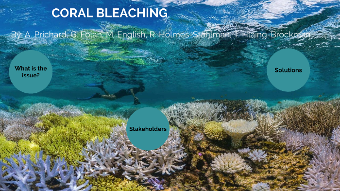 Coral Bleaching by Alyssa Prichard