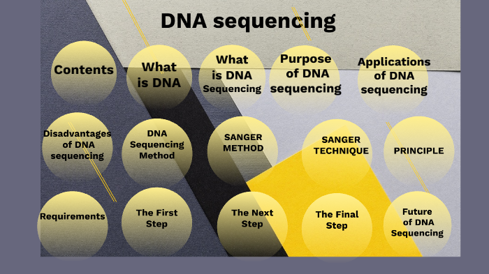 DNA sequencing by hataw adil on Prezi