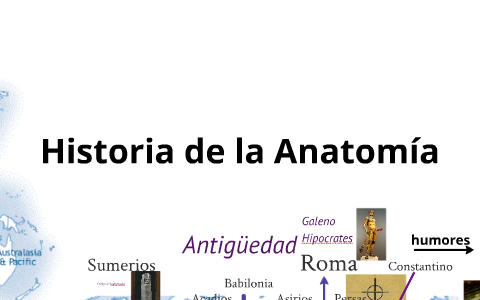 Historia de la Anatomía by julio sanchez on Prezi