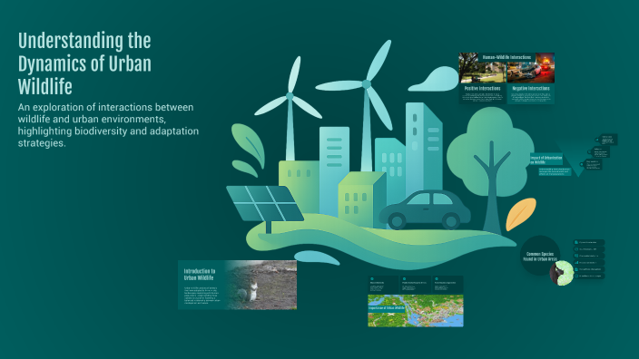 Understanding the Dynamics of Urban Wildlife by Meyer Assoulin on Prezi