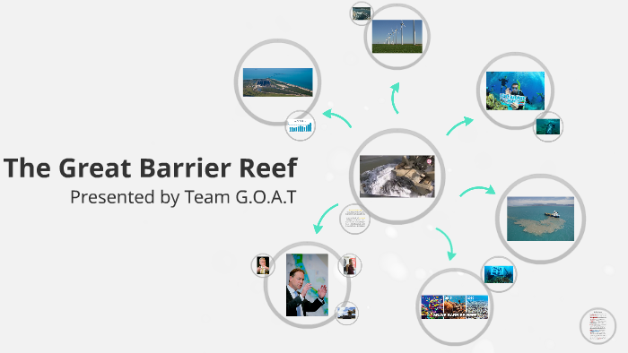 The Great Barrier Reef by Sophie Hartman-Smith on Prezi