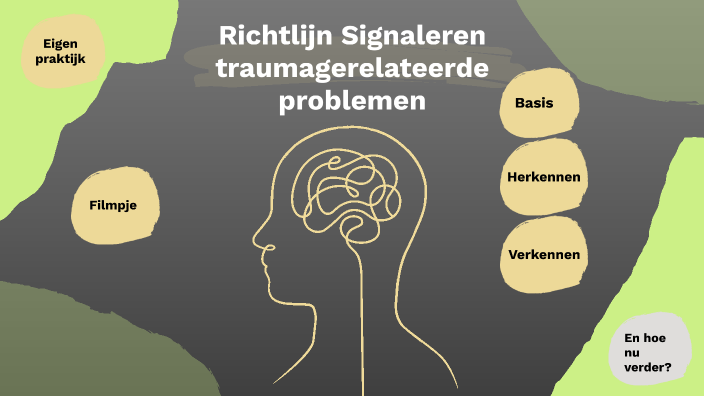 Richtlijn Signaleren traumagerelateerde problemen by Rhianne de Klein ...