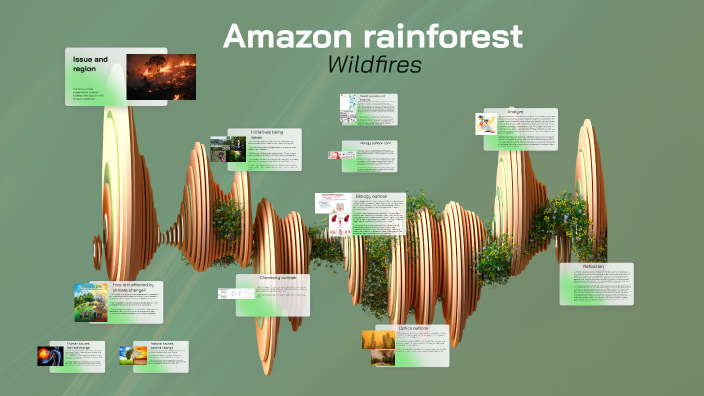 Amazon rainforest wildfires by AP - 10CM 752223 Jean Augustine SS on Prezi