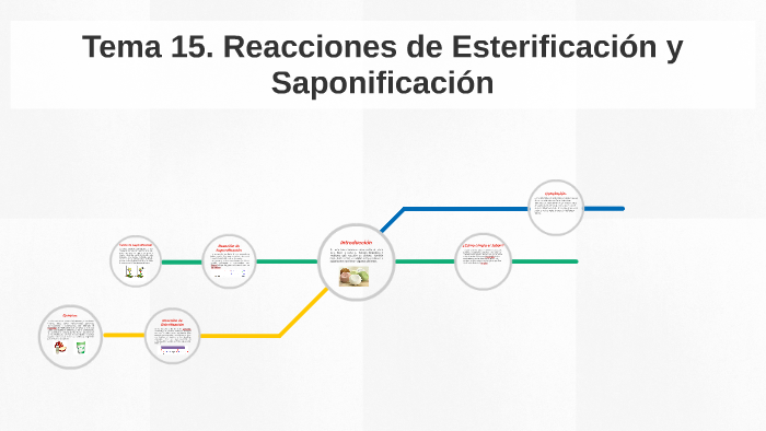 Tema 15 Reacciones De Esterificación Y Sapo By Sergio Feluel Hernandez Loaiza On Prezi 3139