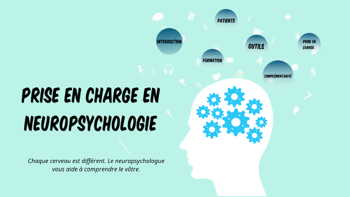 Prise en charge en neuropsychologie by simon Van der meulen on Prezi