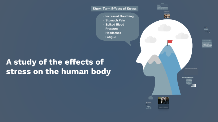 The Effects of Stress on the Human Body by emani p on Prezi