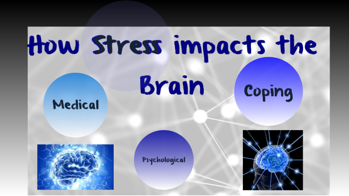 Stress and the Brain by Jen Baffi on Prezi