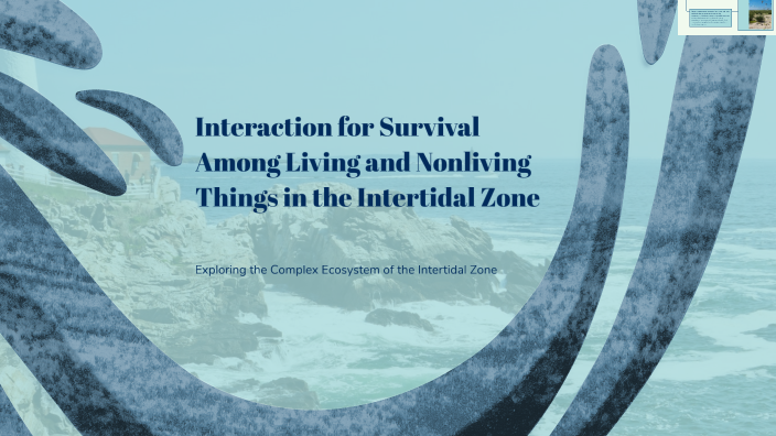 Interaction for Survival Among Living and Nonliving Things in the ...