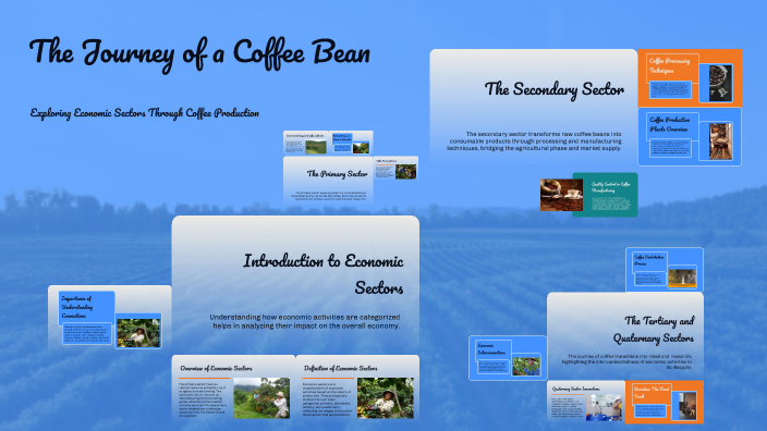 The Journey of a Coffee Bean by Daniel Berry on Prezi