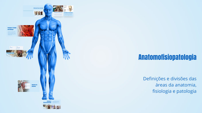 Anatomofisiopatologia by Adler Luan on Prezi