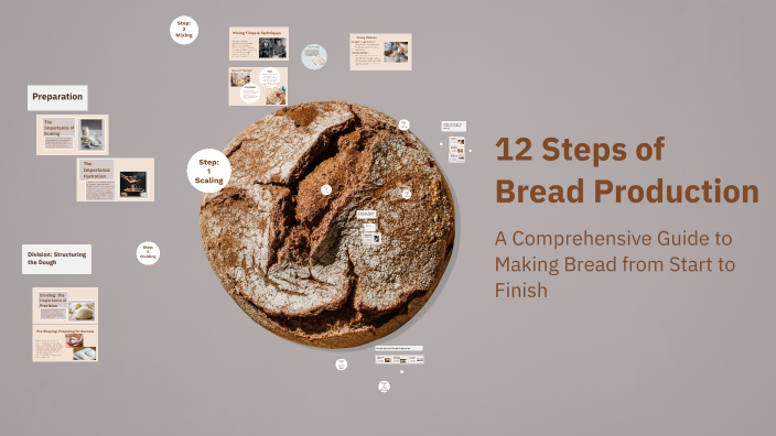 Develop Bread 12 Steps of Bread Production by Gabriella Cook on Prezi