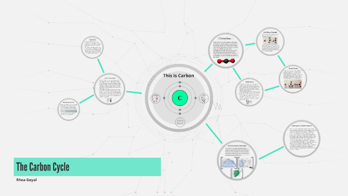 The Carbon Cycle by on Prezi