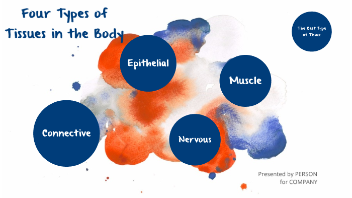 Four Types of Tissues in the Body by Camryn Hubbard on Prezi
