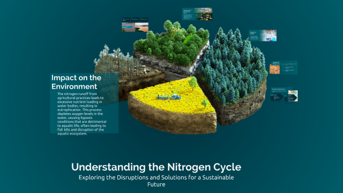 Understanding the Nitrogen Cycle by Markayla Hudson on Prezi